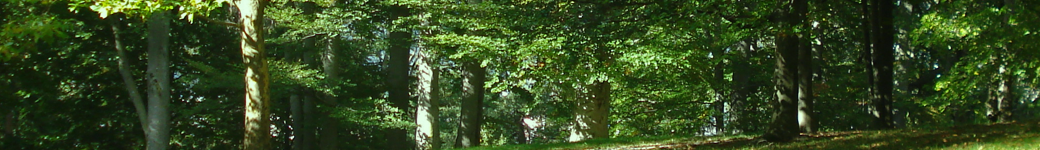 stay gay No-cost porno cam without paying